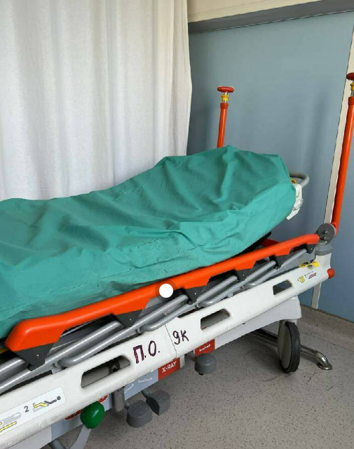 Фото: ТГ-канал Натальи Фриске