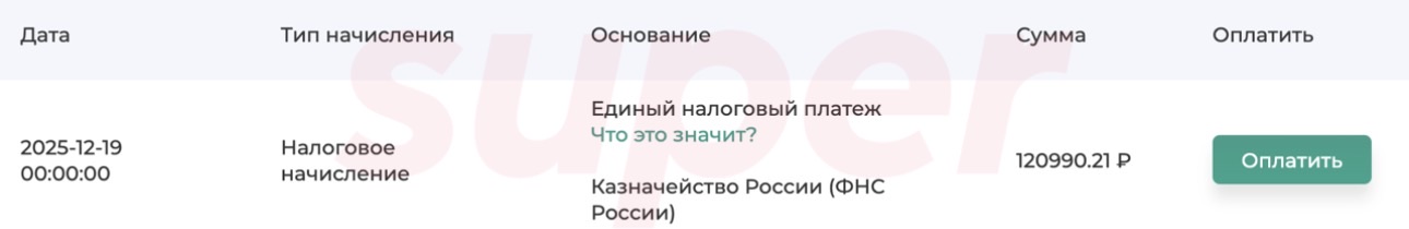 Скриншот: gosnalogi.ru