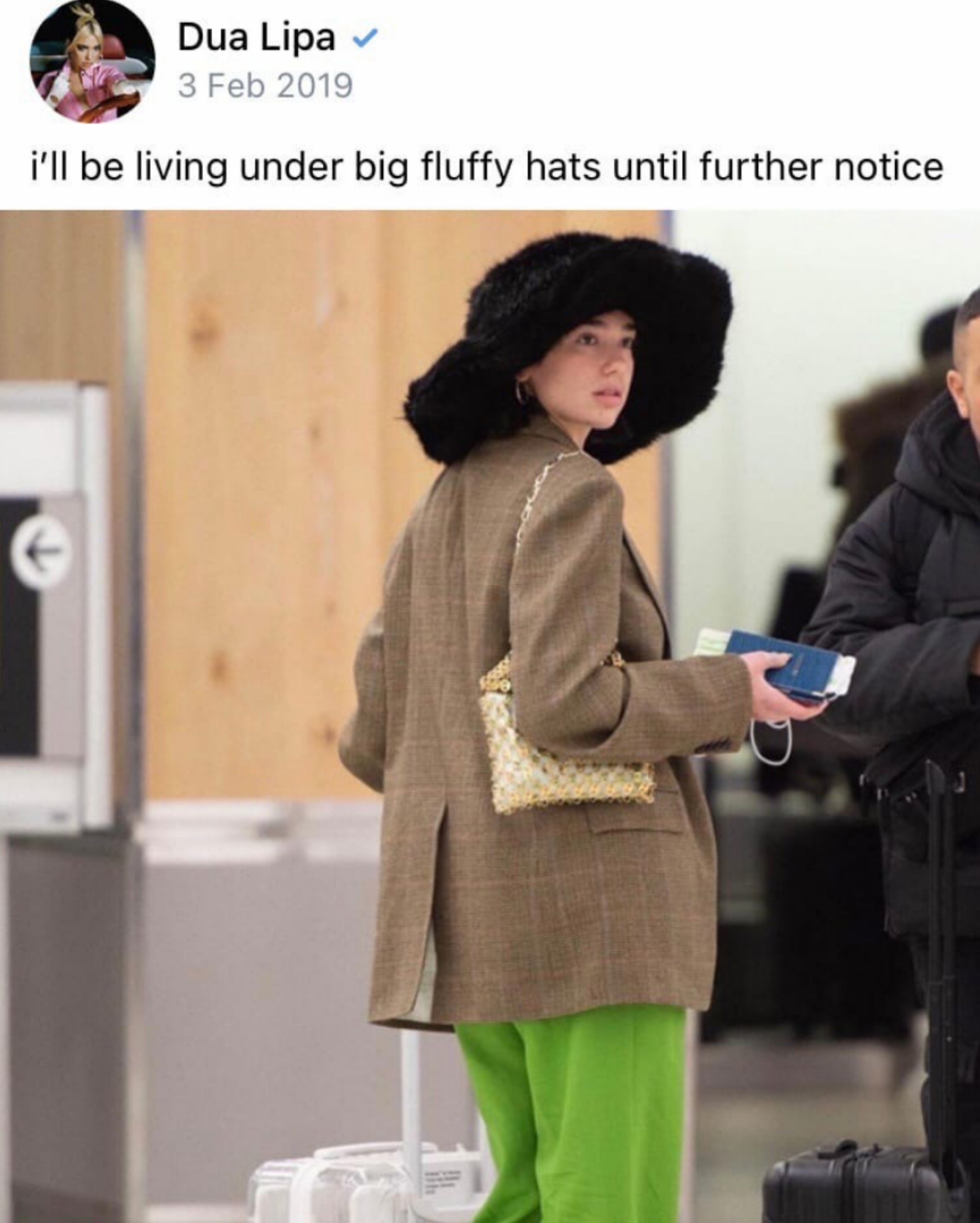 Скриншот удаленной публикации
Фото: Dua Lipa