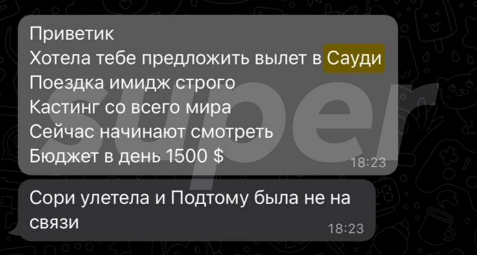 Переписка с агентом по эскорт-услугам / Super.ru