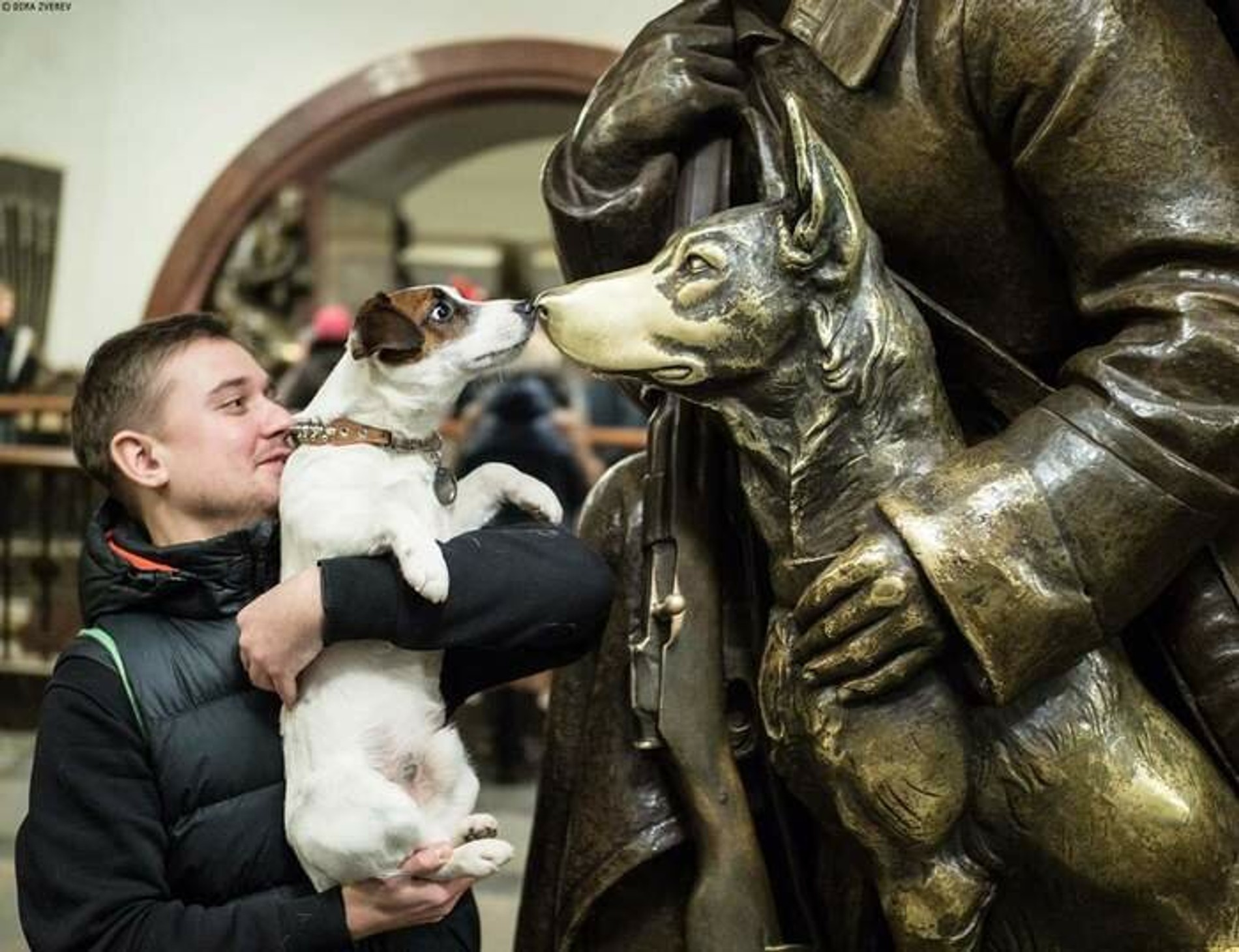 Фото: zen.yandex.ru