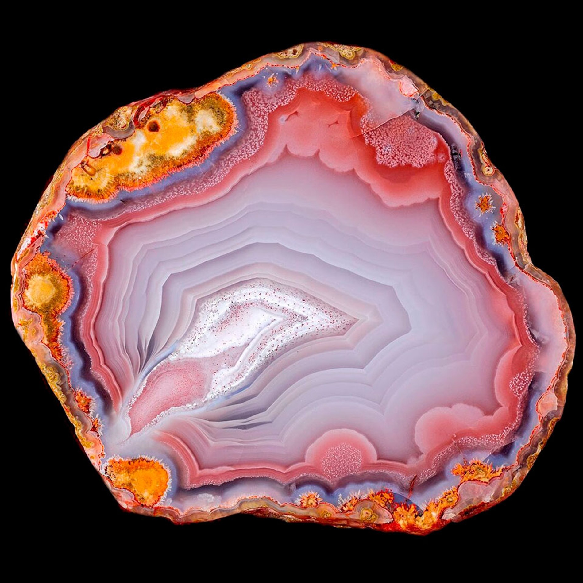 Фото: Getty Images