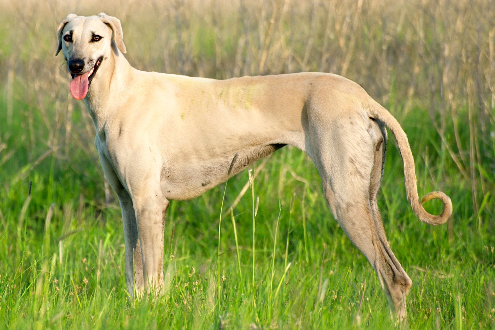 Слюги
Фото: Getty Images