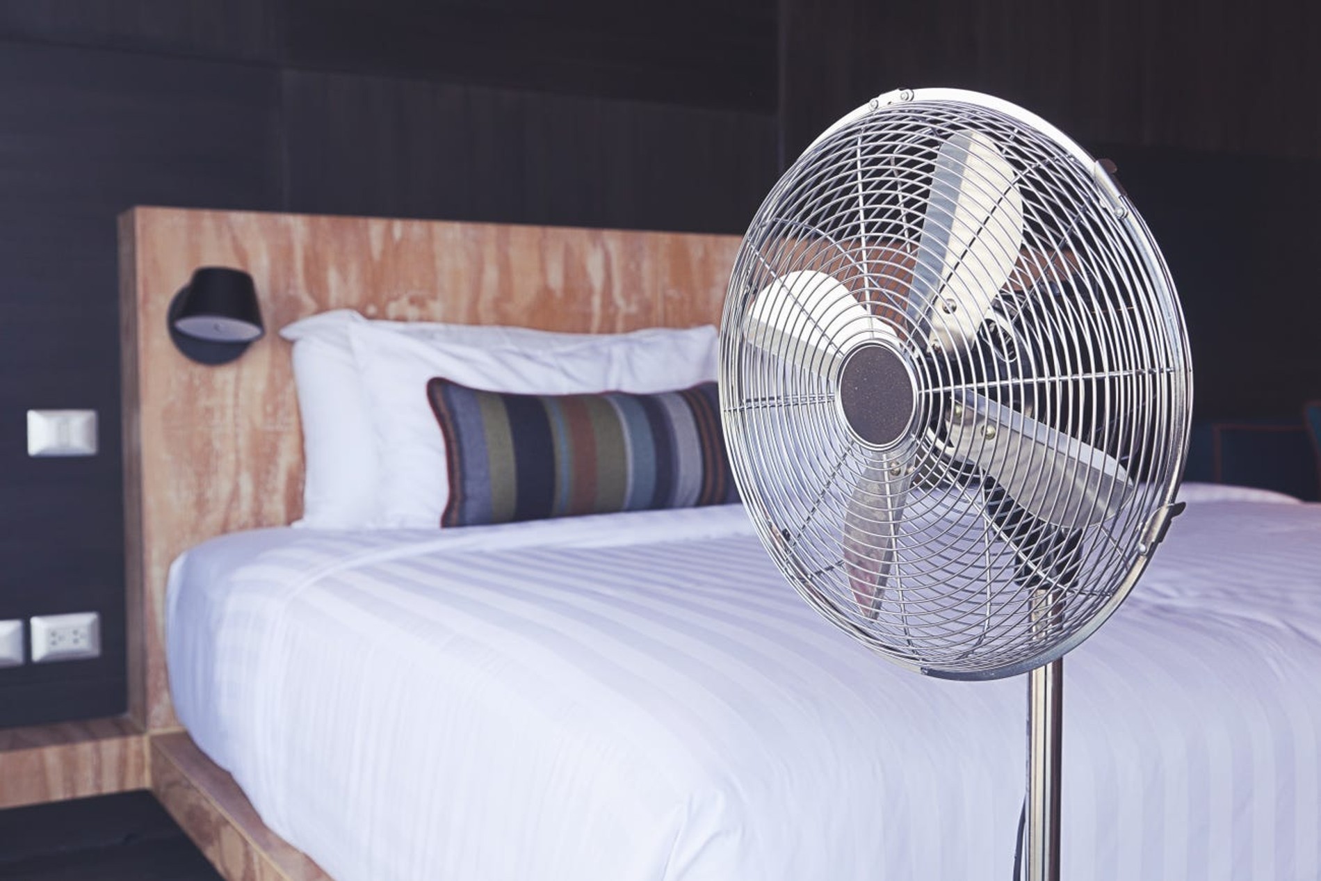 Источник: ben bryant / Shutterstock