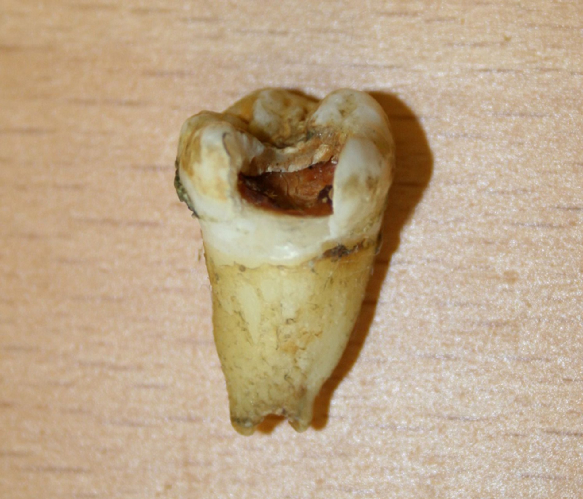 Источник: Global News