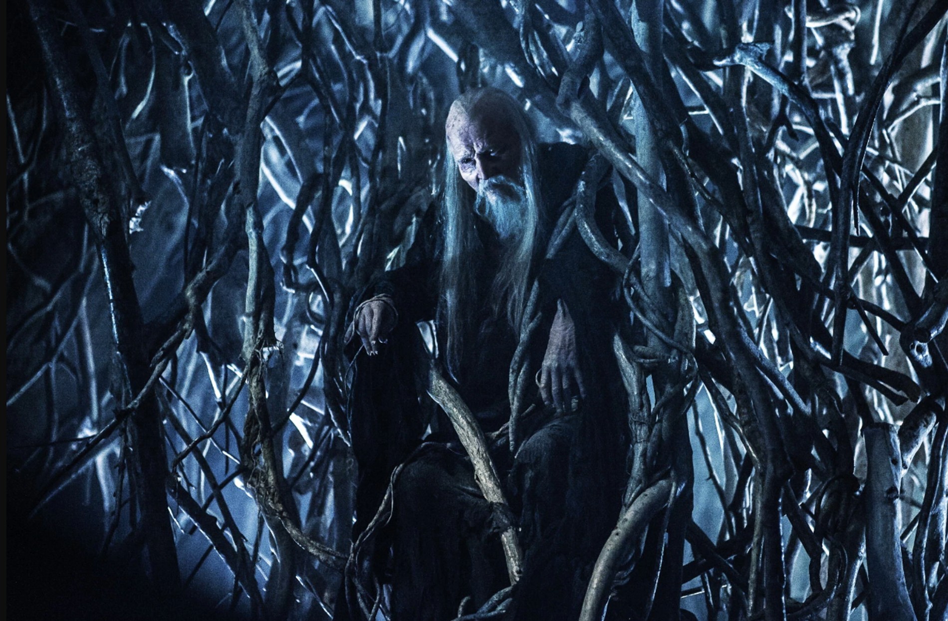 Трехглазый ворон Бринден.
Фото: Game of thrones Wiki