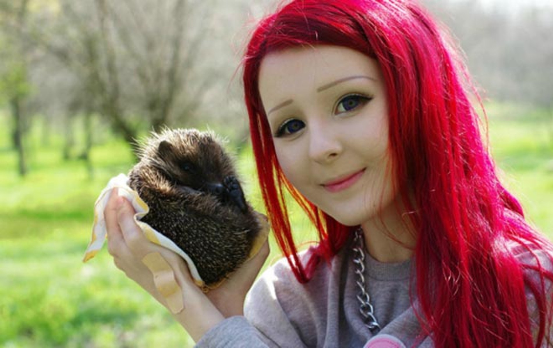 Источник: WMJ