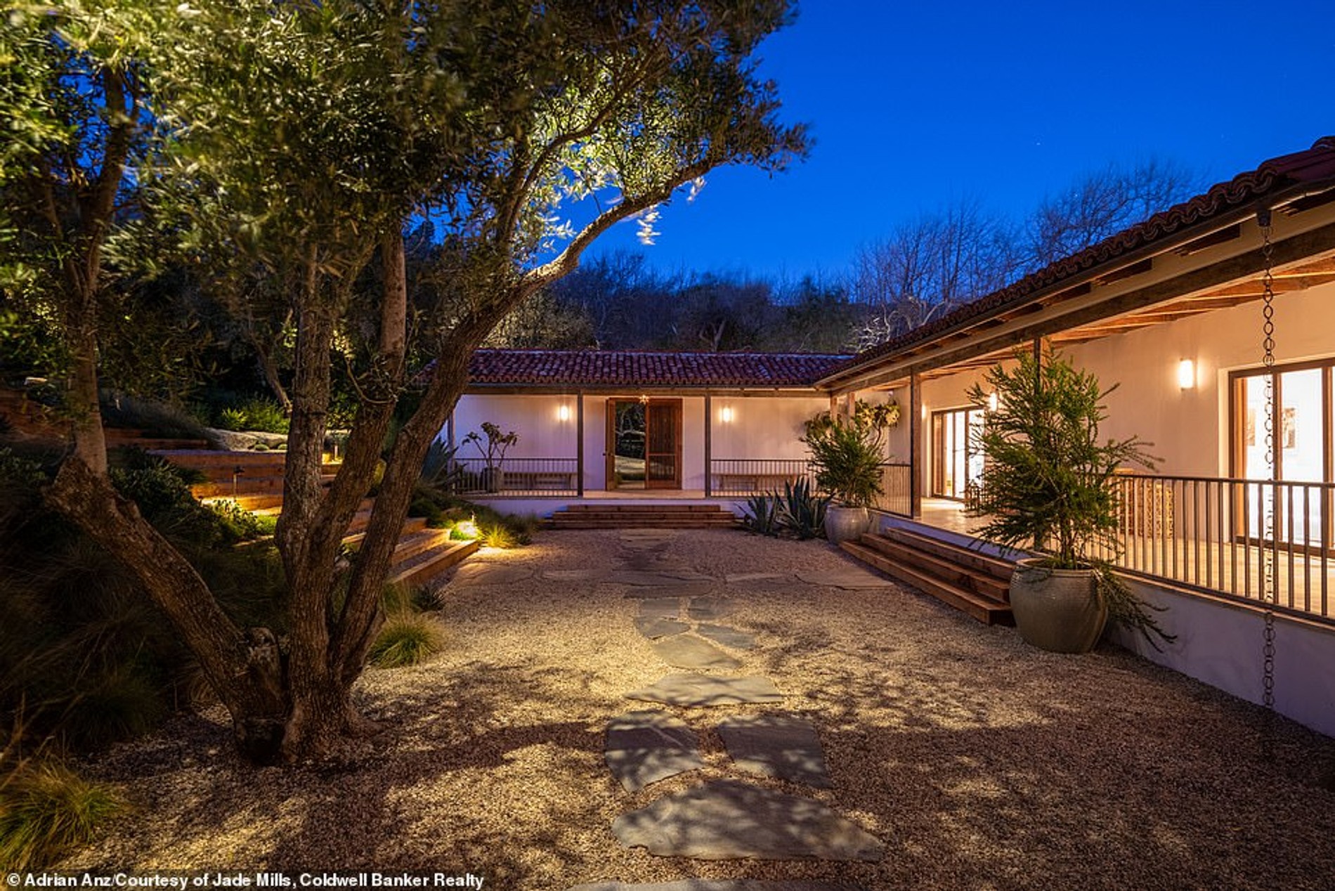 Фото: Daily Mail