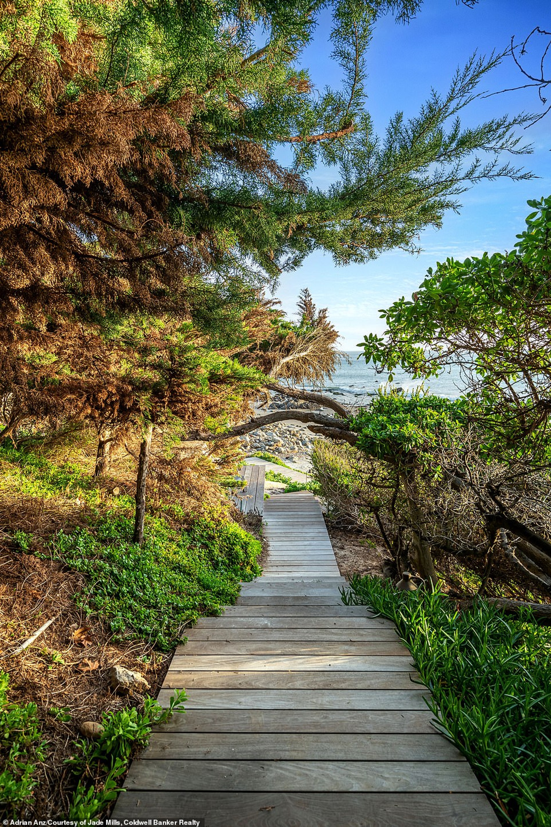 Фото: Daily Mail