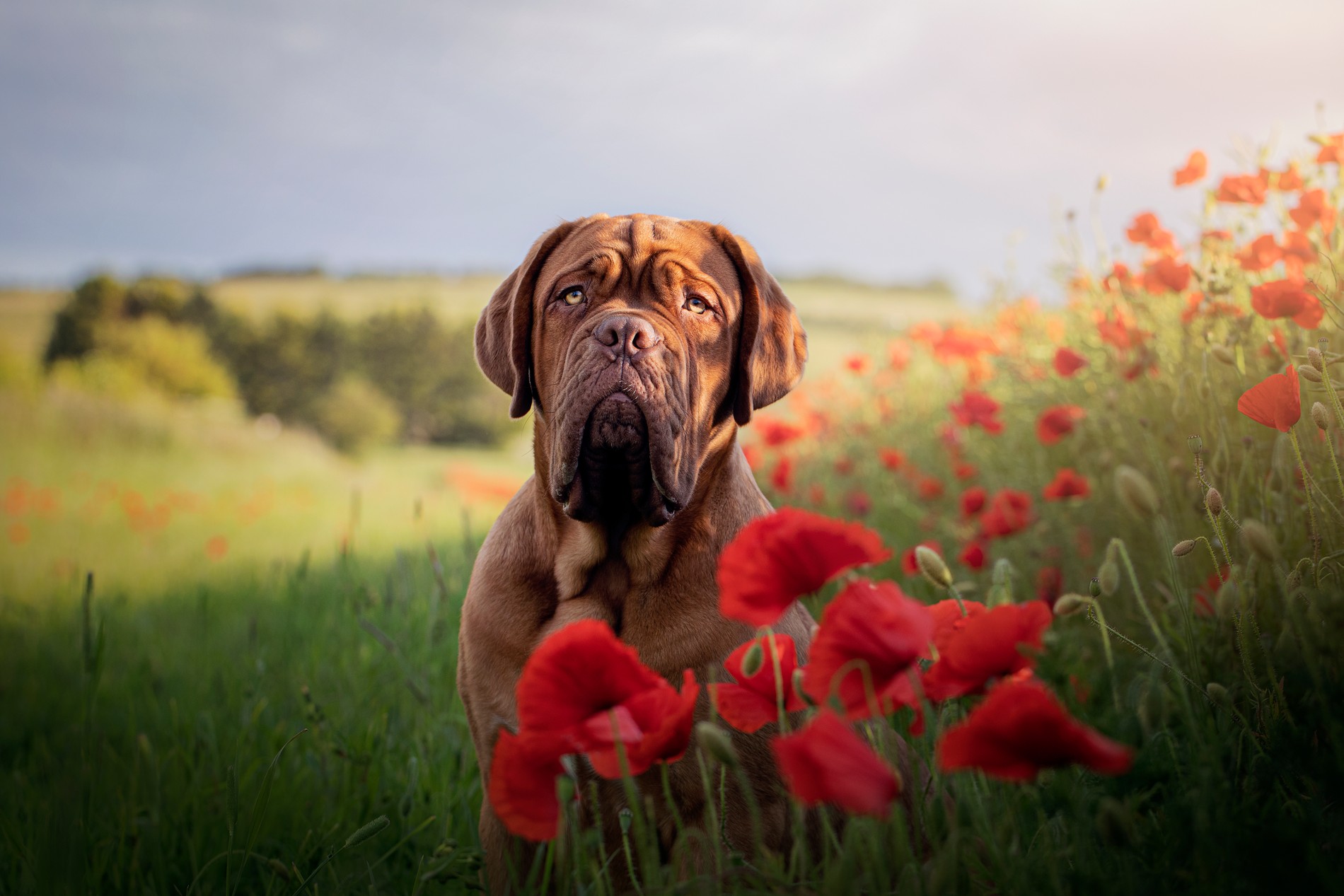 Фото: Getty Images