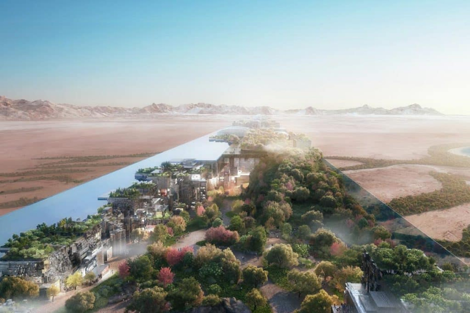 Фото: The Line Project