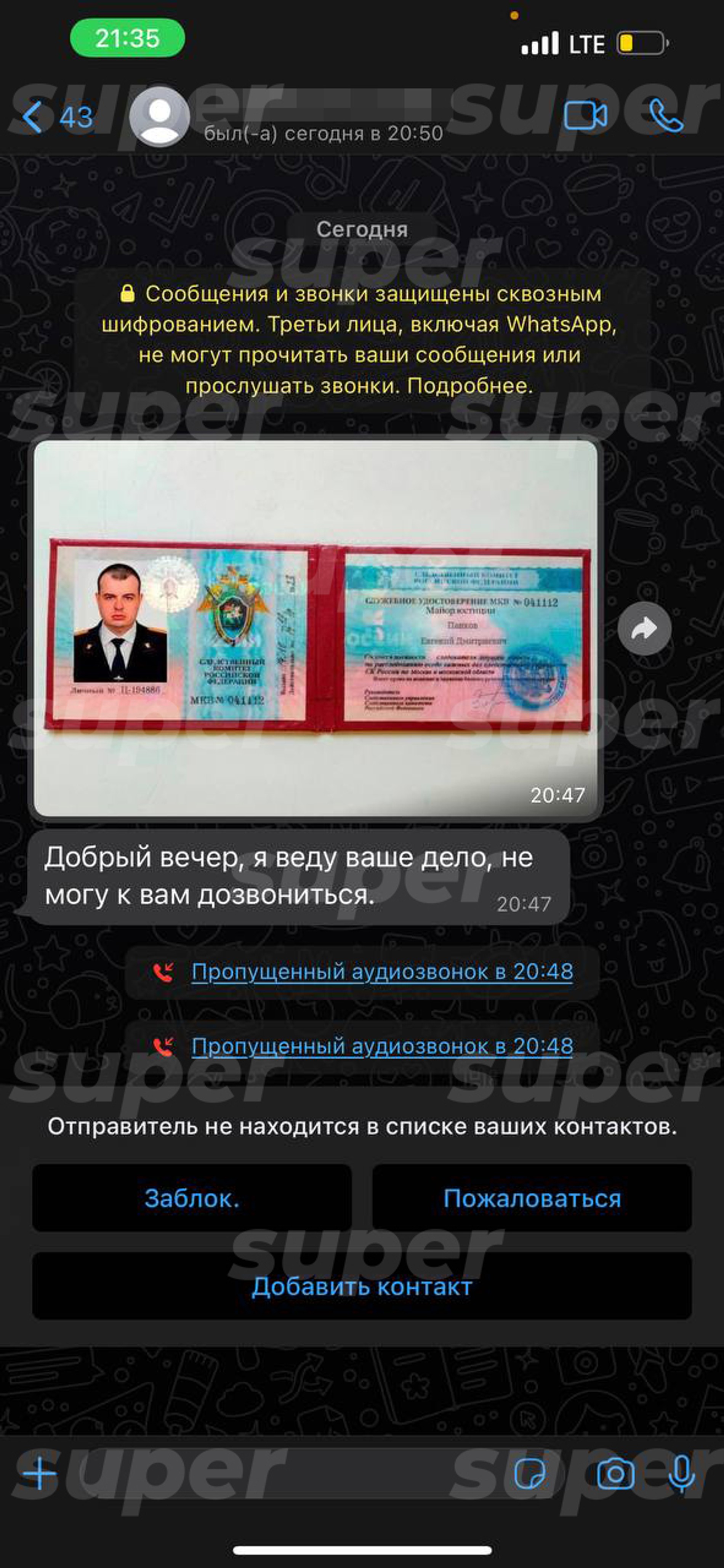 Скрин диалога с мошенником — предоставлен Настей Рыжик