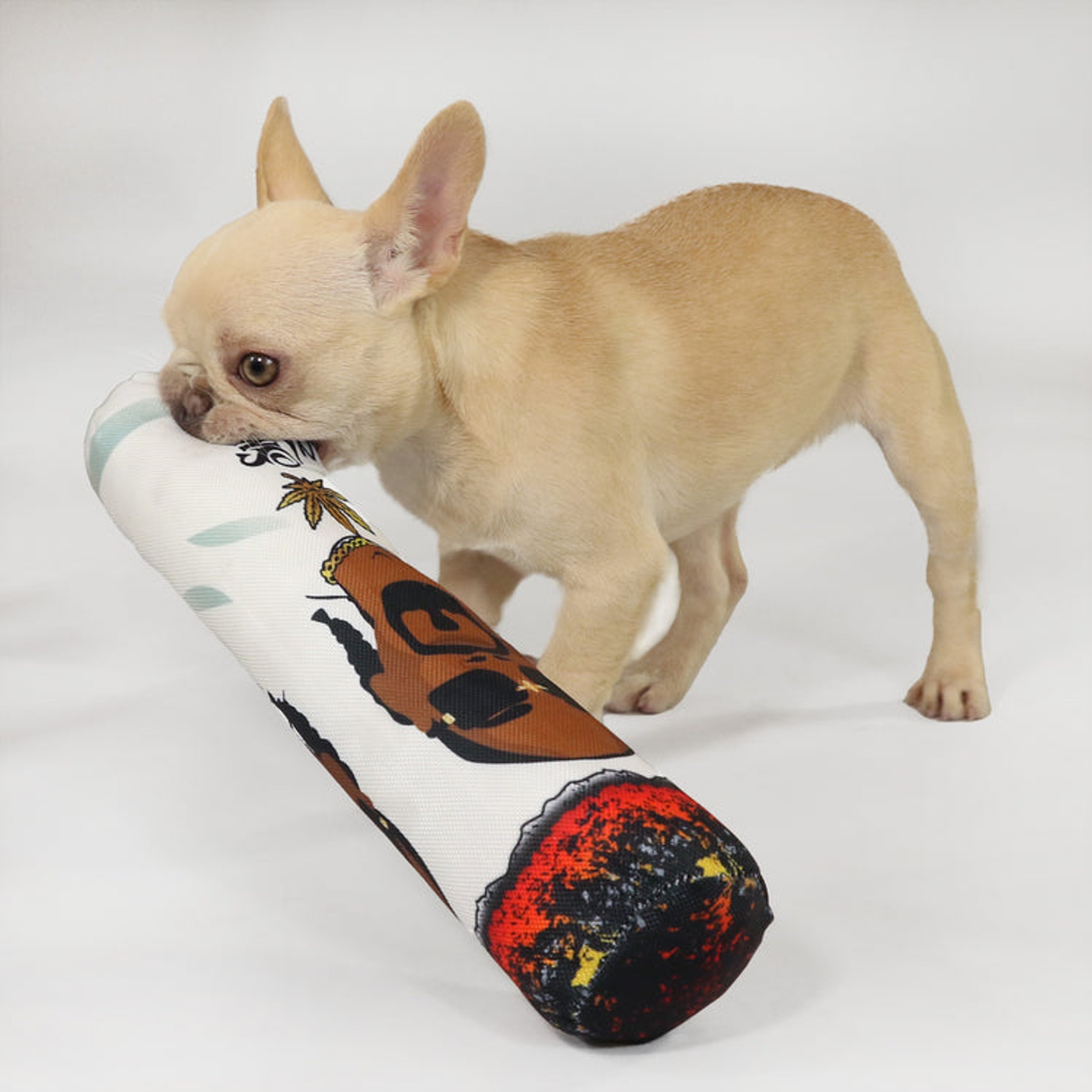 Фото: Snoop Doggie Doggs