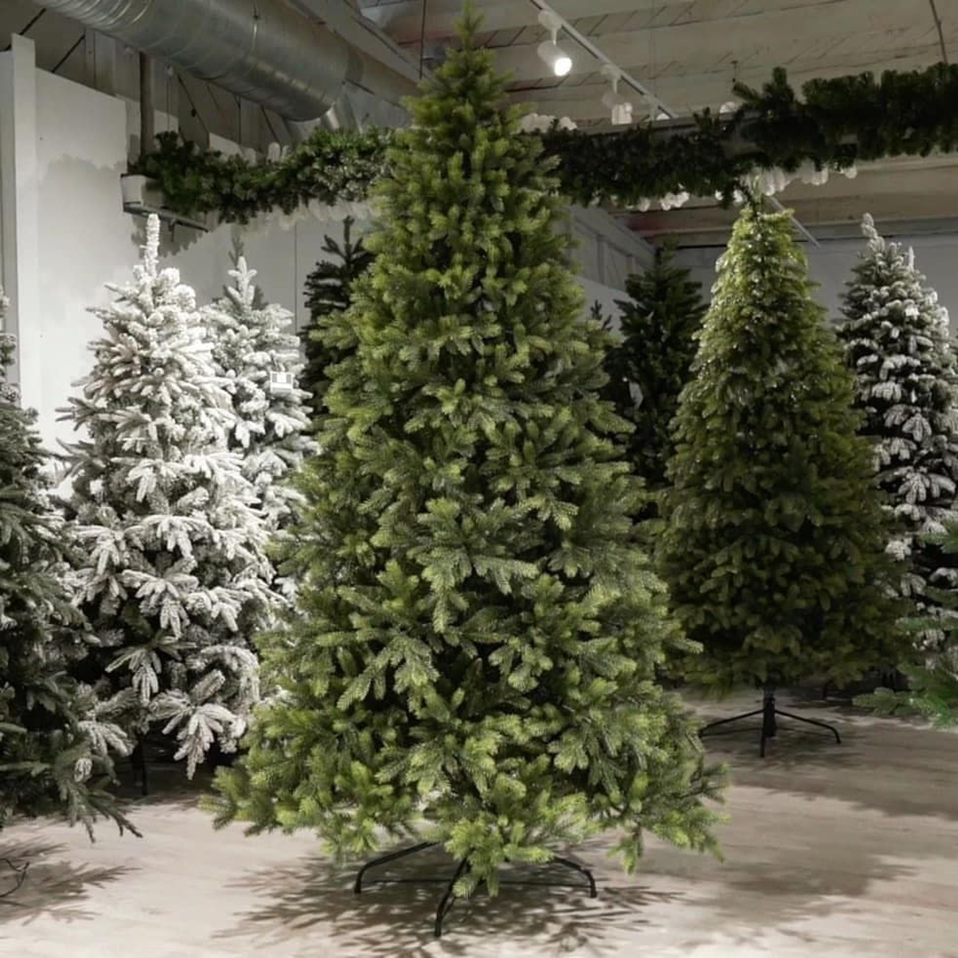 Елка Маркет. Источник: архив автора