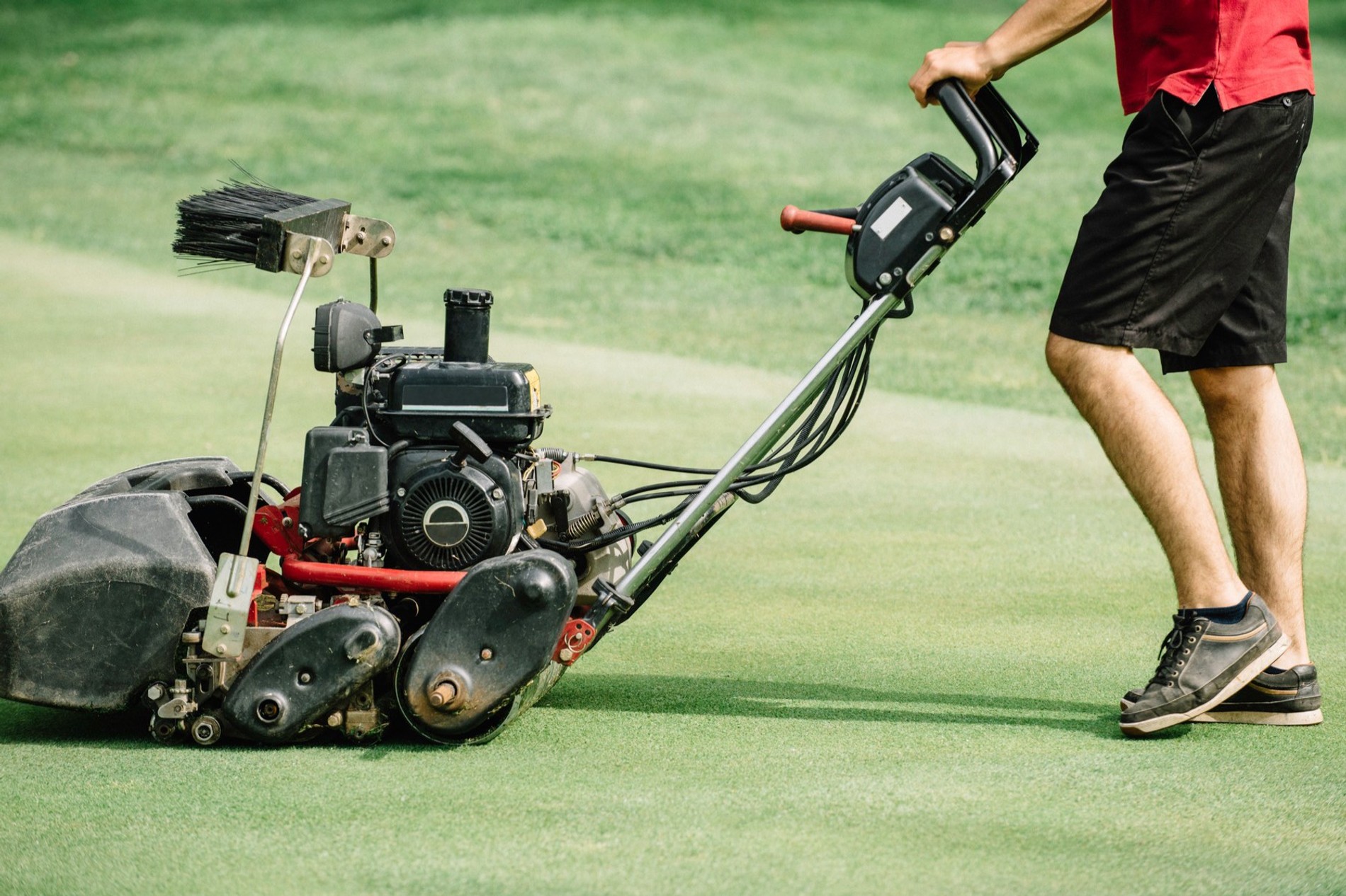 Фото: Getty Images