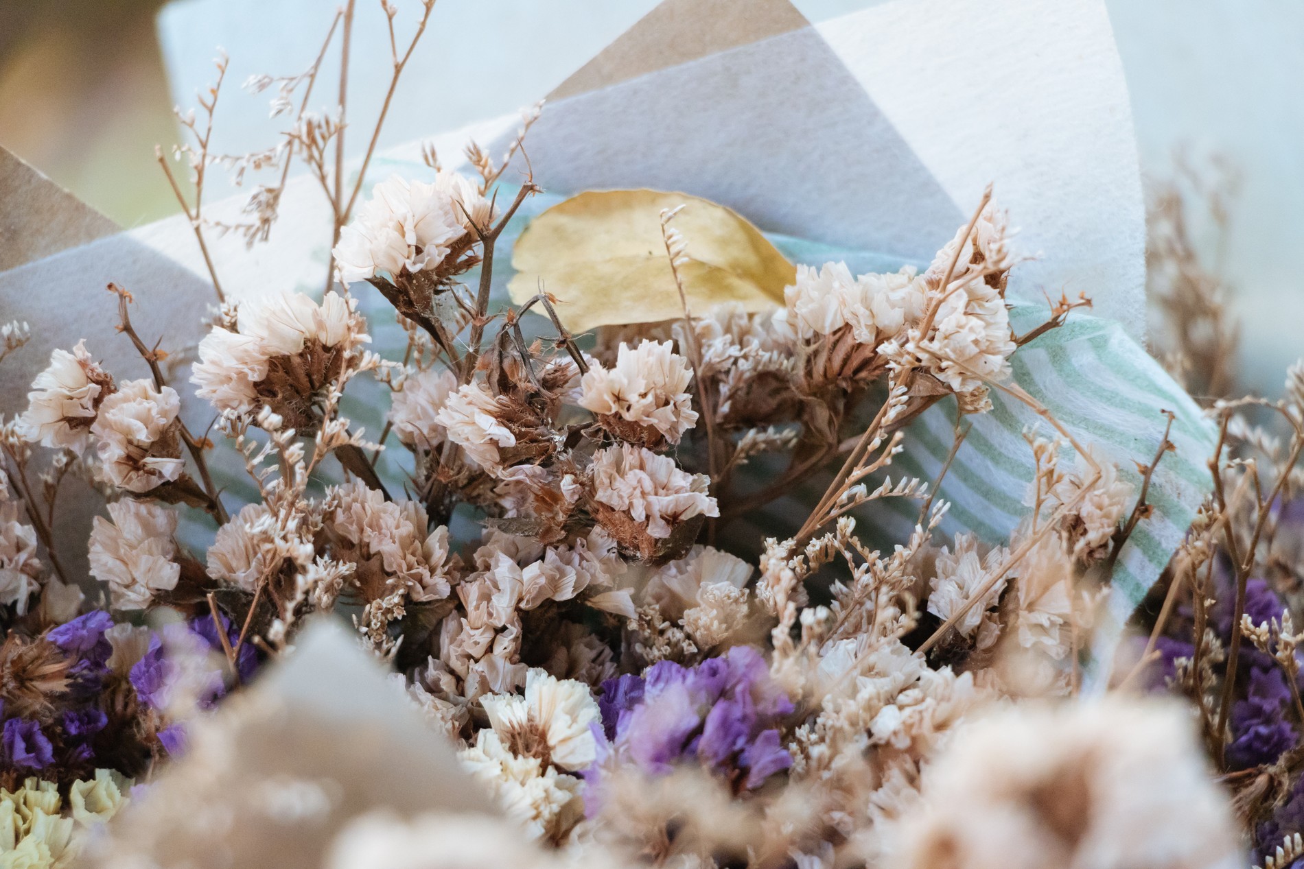 Фото: Getty Images