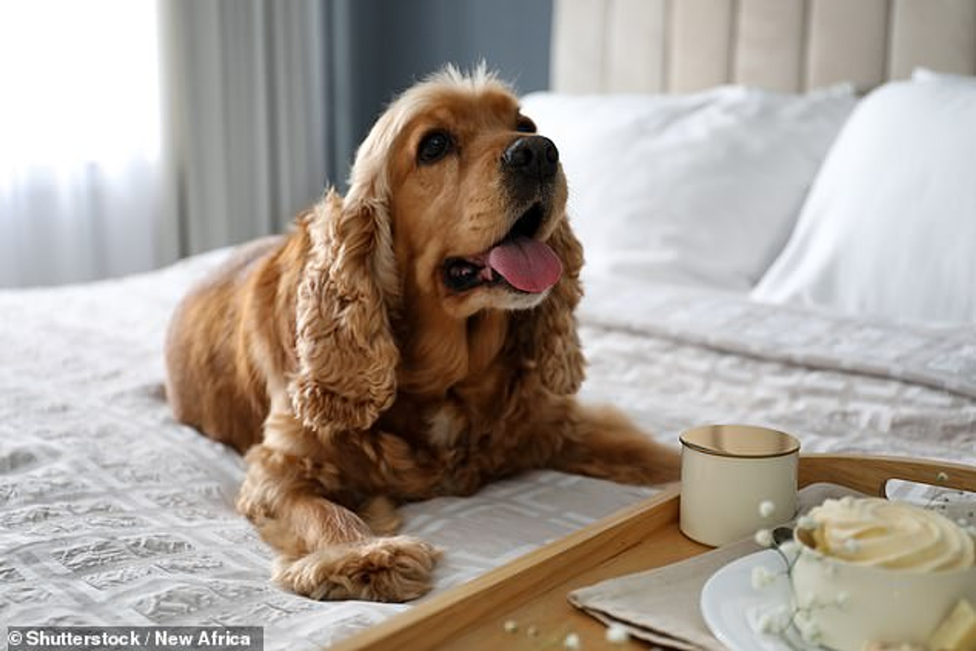 Фото: Daily Mail