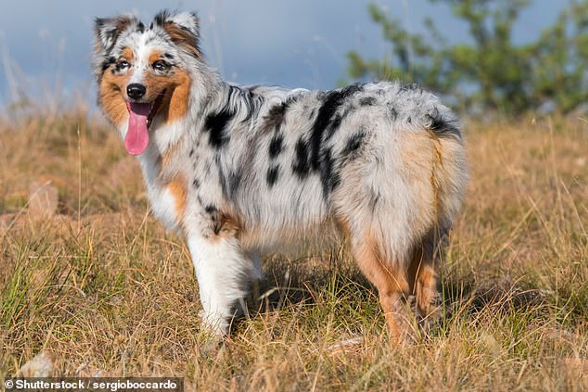 Фото: Daily Mail