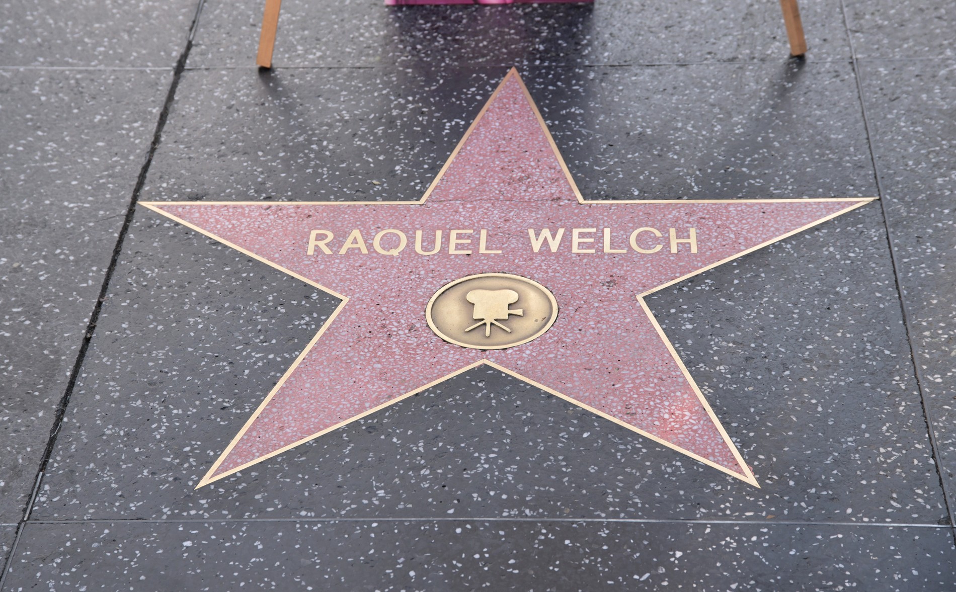 Звезда Ракель Уэлч на Аллее славы в Лос-Анджелесе
Фото: Getty Images
