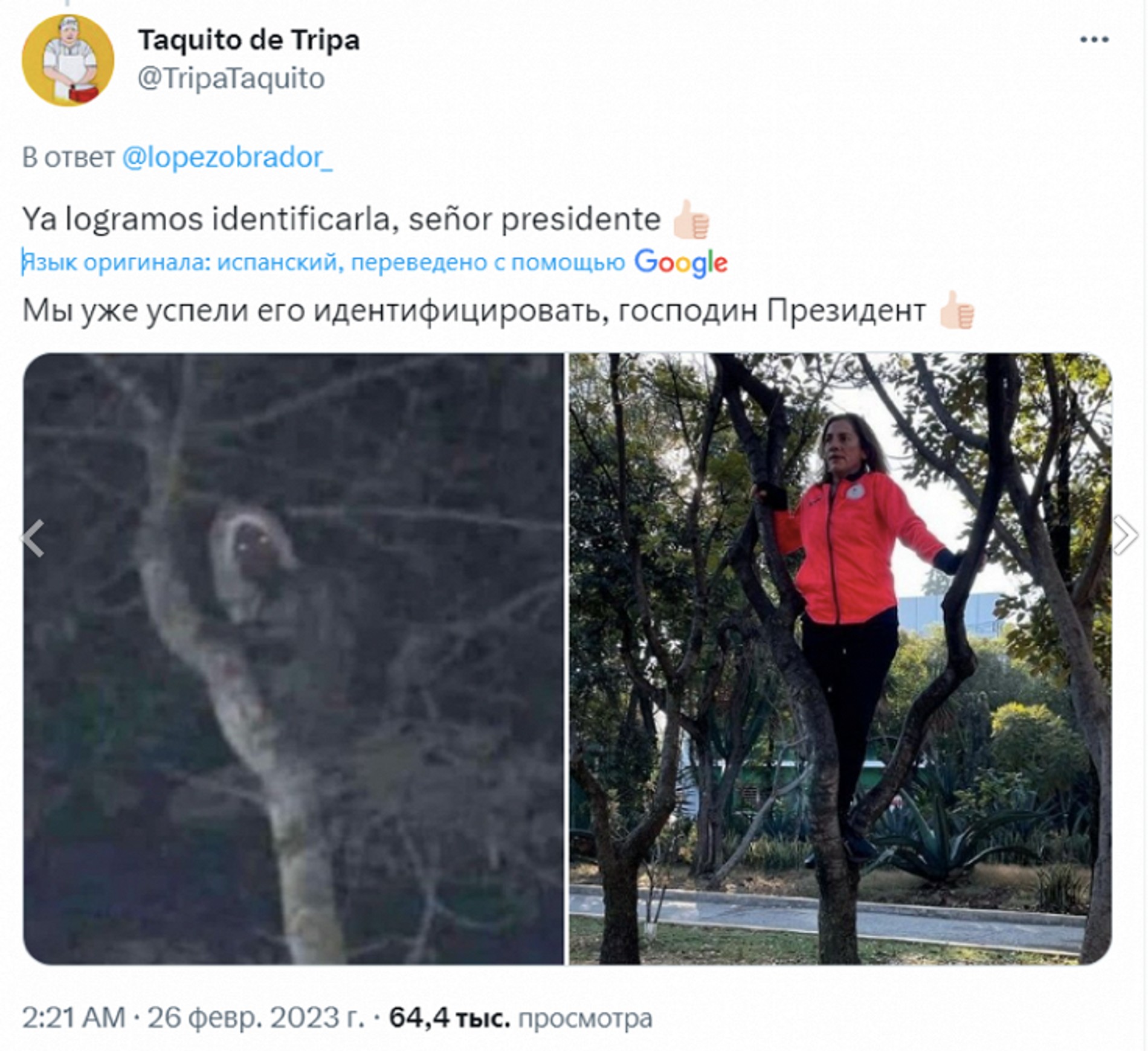 Фото: Твиттер / @TripaTaquiro