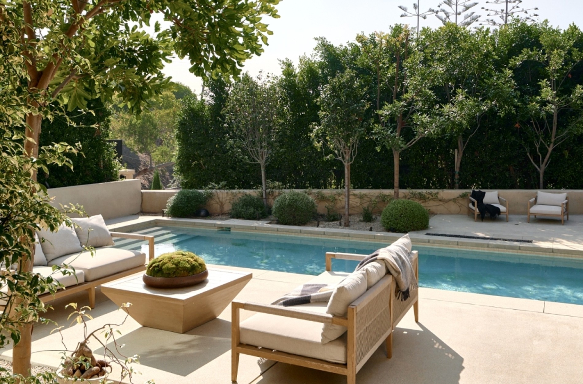 Фото: The Dirt / Nils Timm