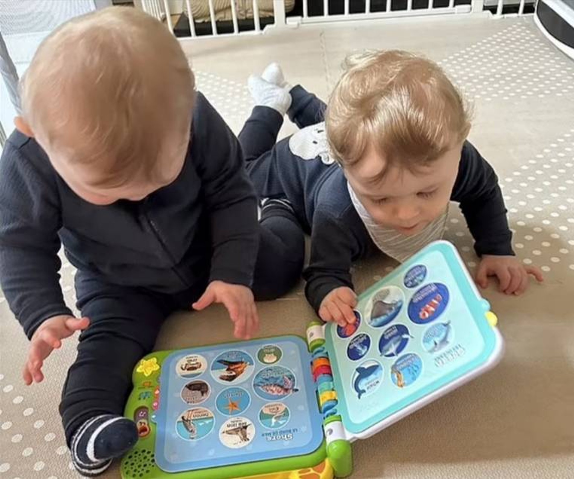 Фото: Daily Mail