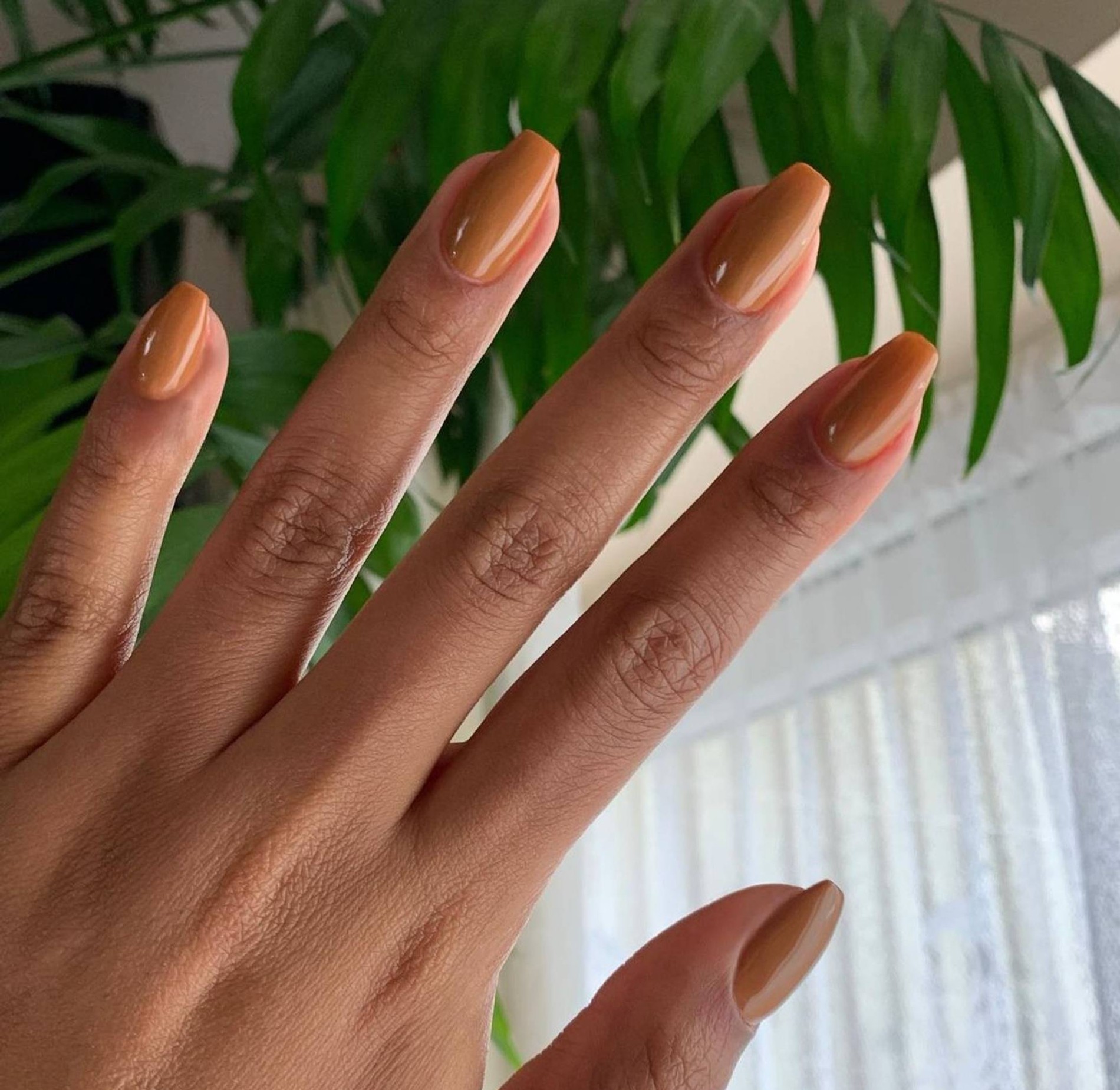 Фото: Инстаграм* @sadiejnails