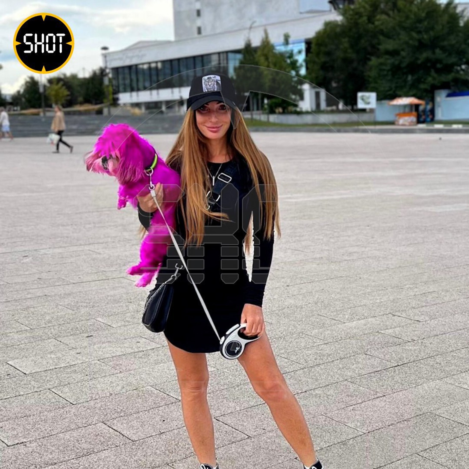 Фото: телеграм-канал SHOT