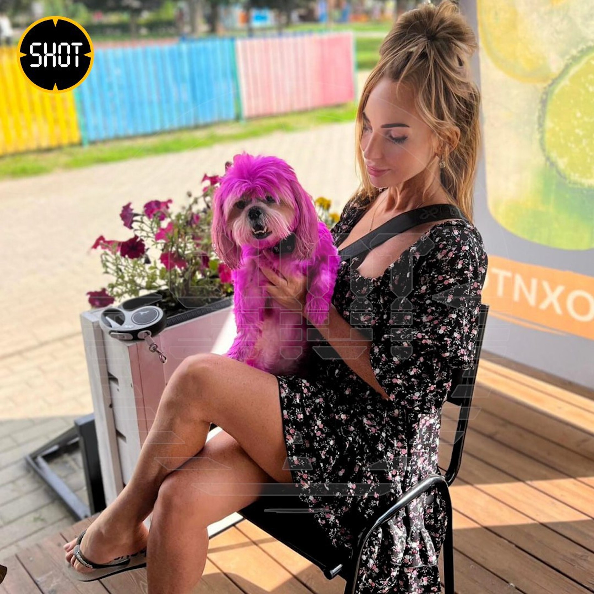 Фото: телеграм-канал SHOT