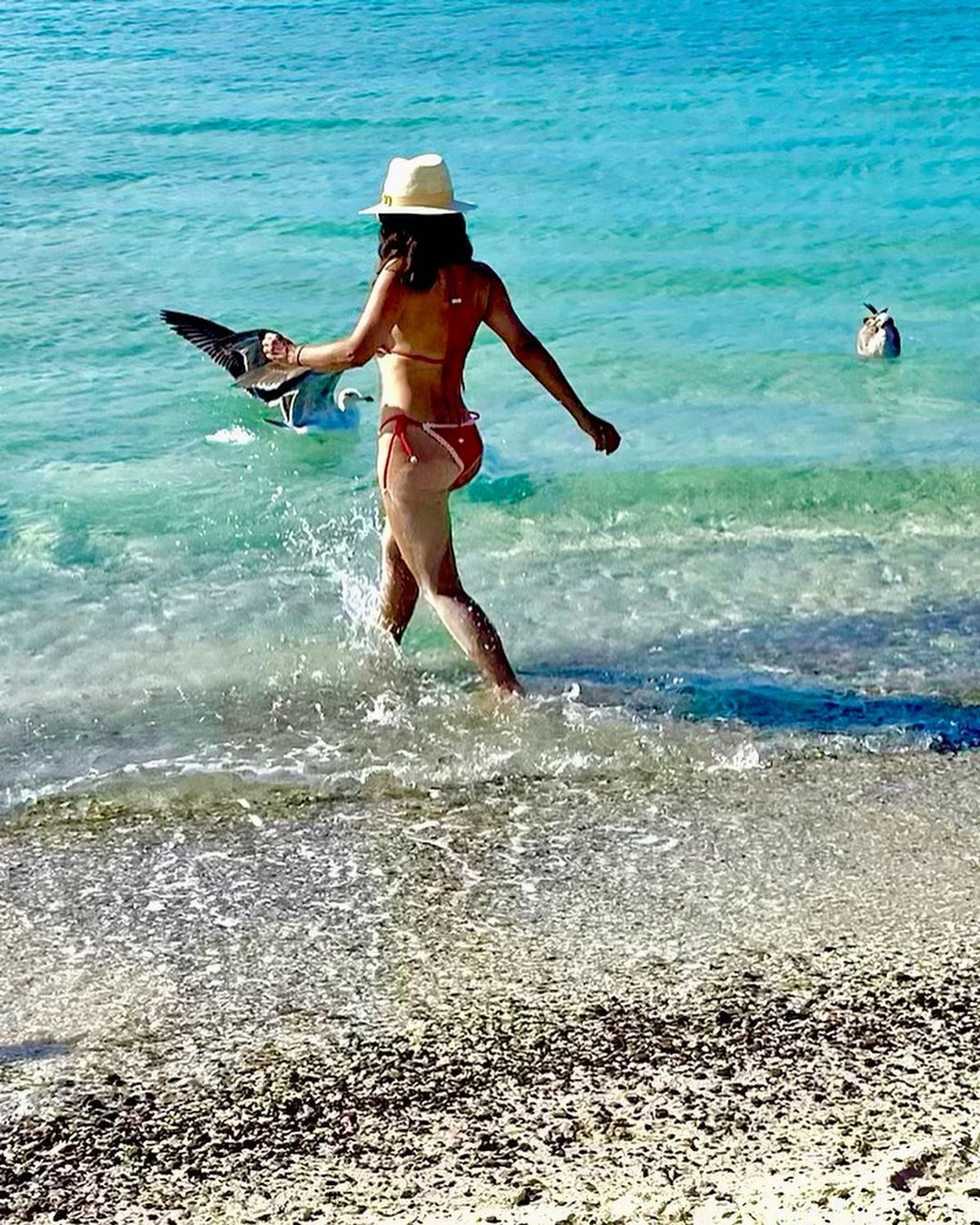 Фото: Инстаграм* @salmahayek