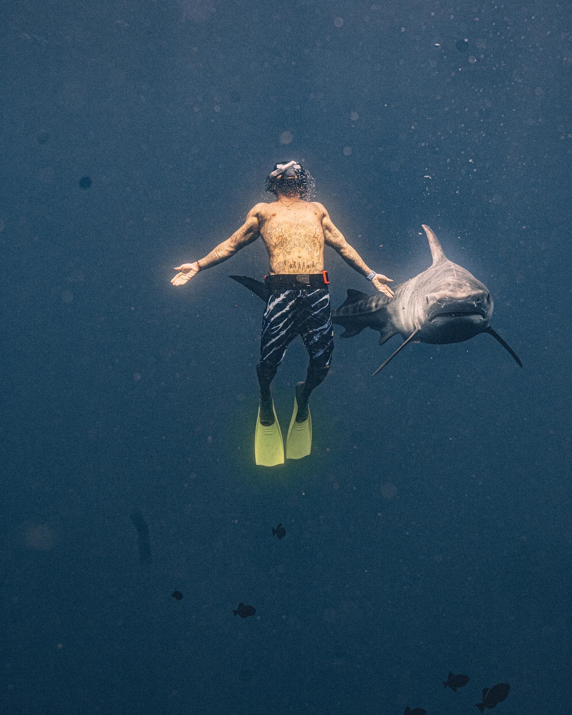 Тимати. Фото: Инстаграм* @timatiofficial