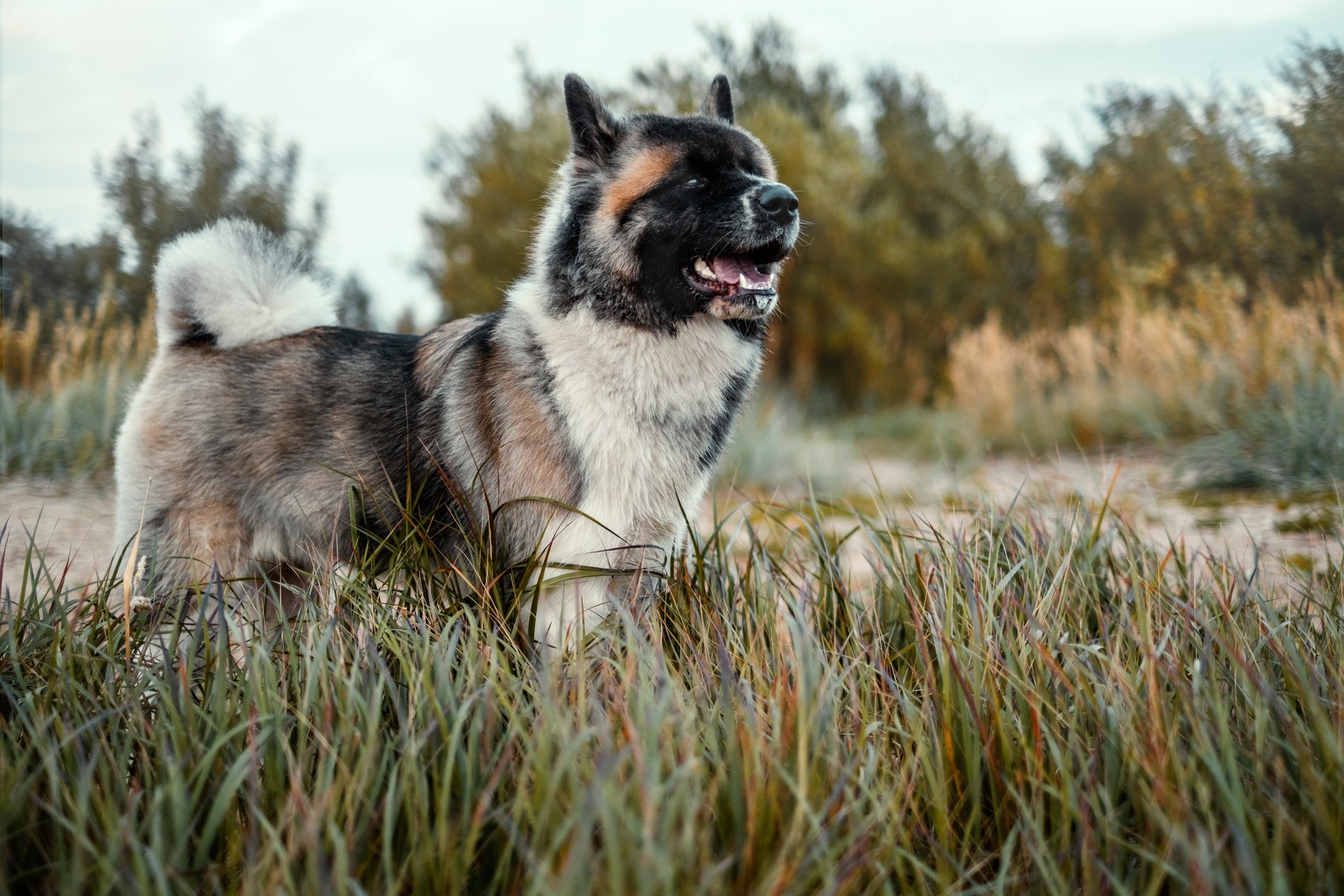 Фото: Getty Images