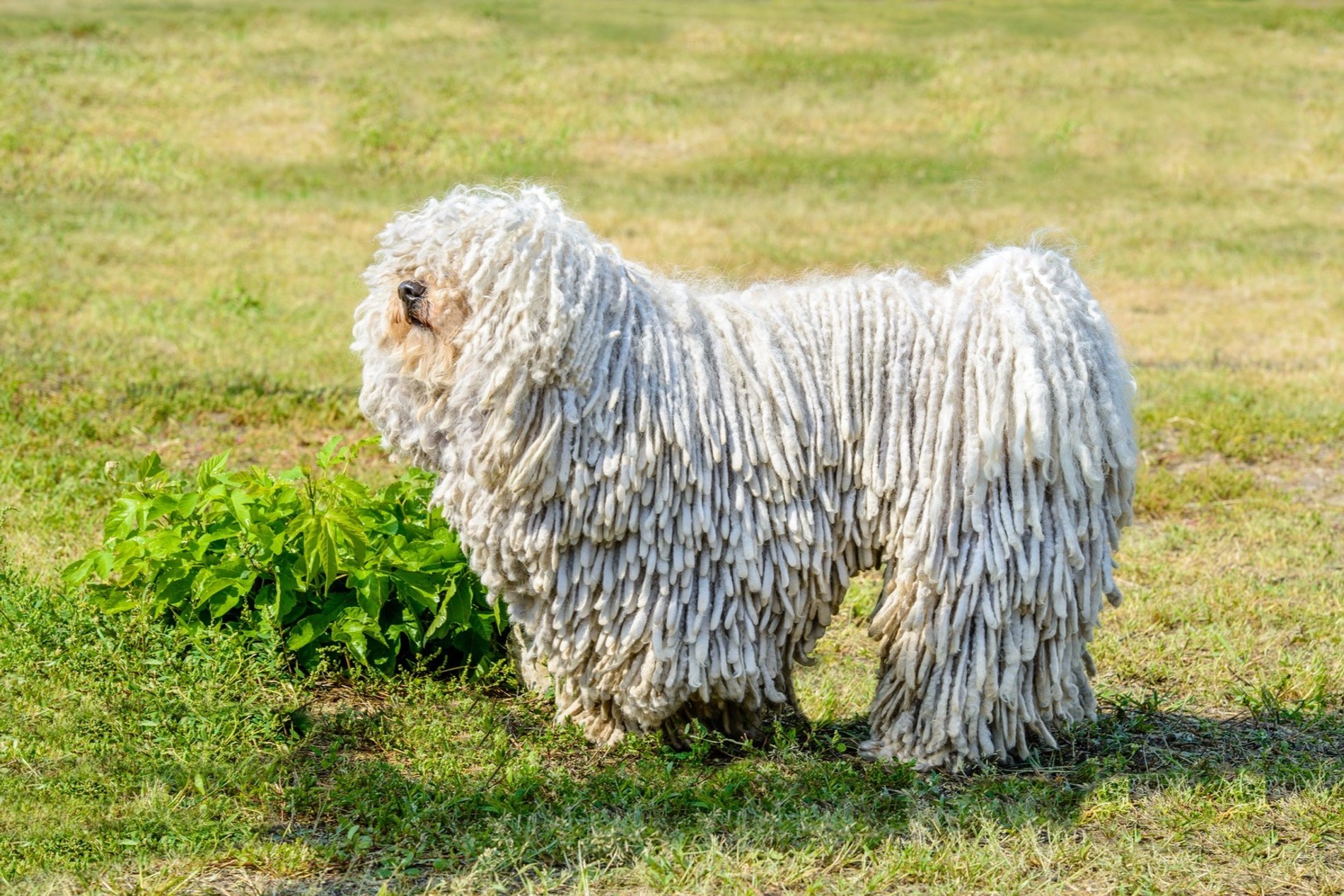 Фото: Getty Images