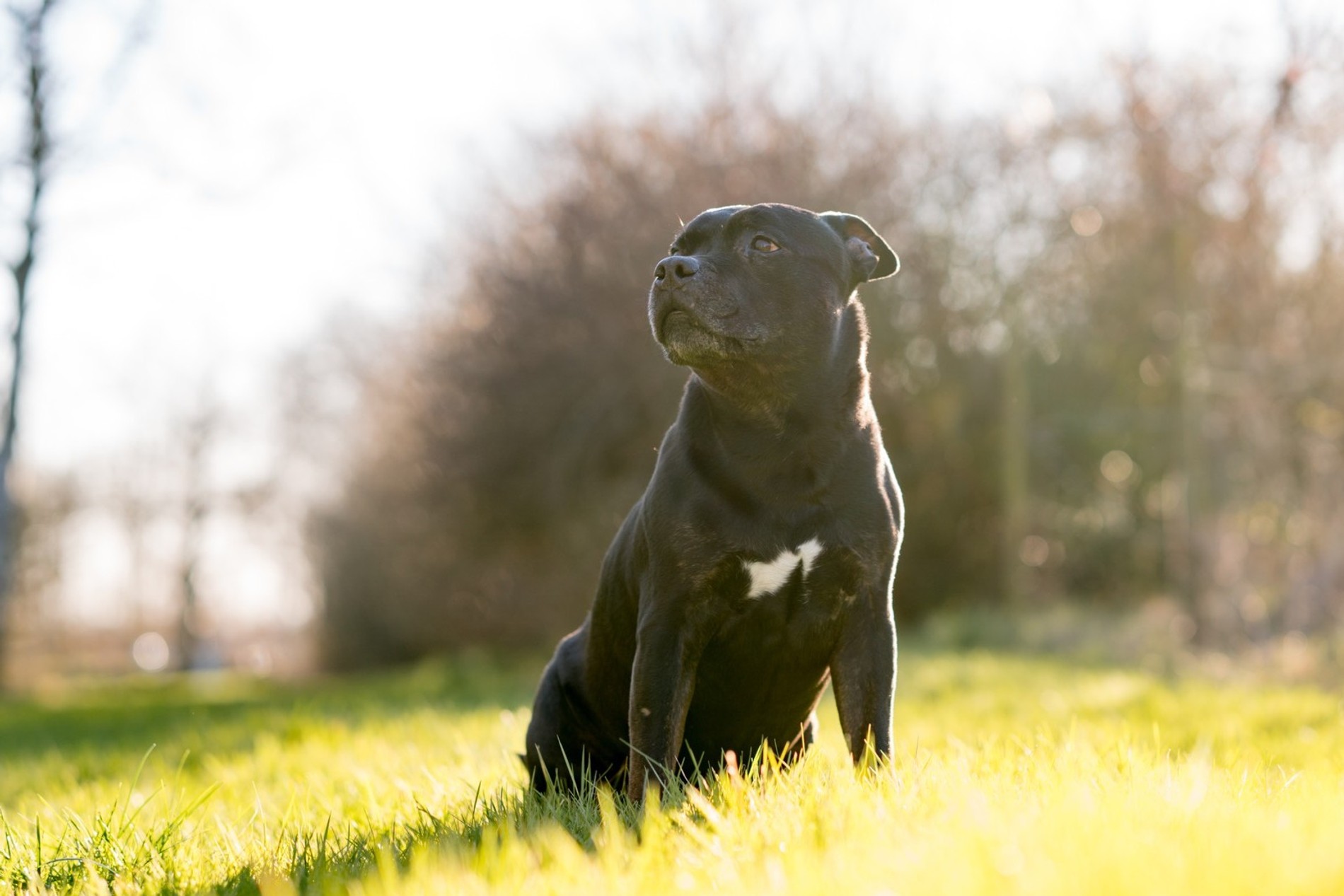 Фото: Getty Images