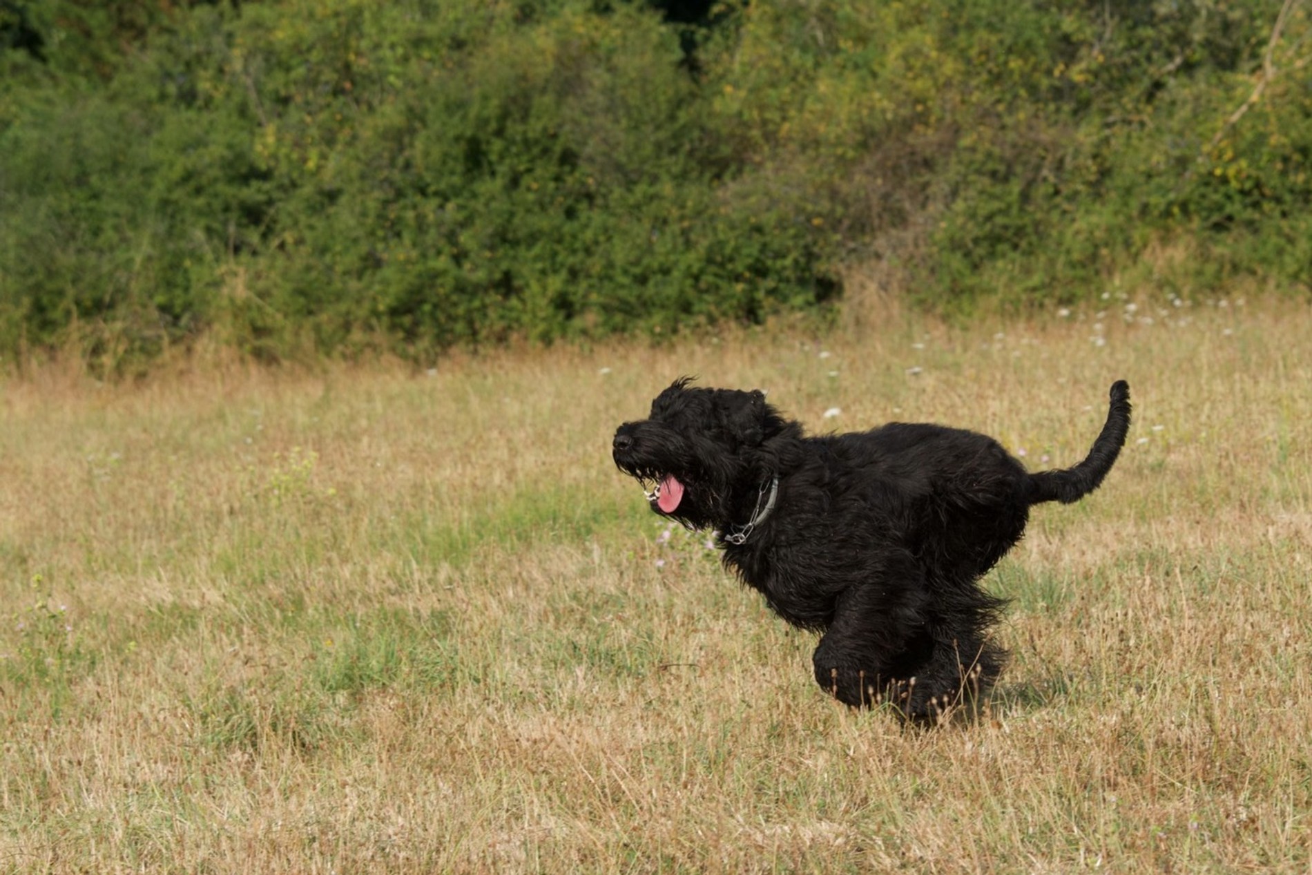 Фото: Getty Images