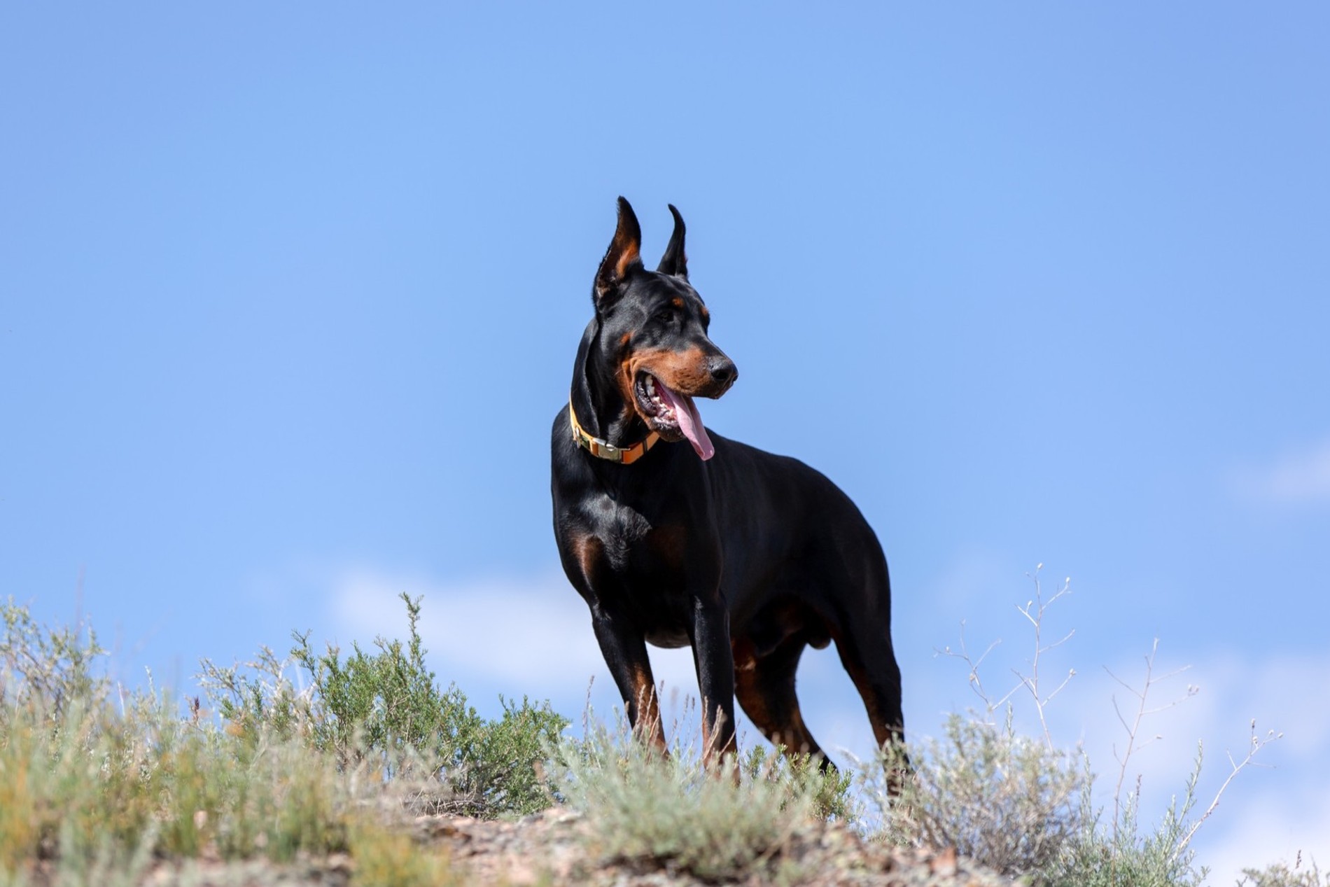 Фото: Getty Images