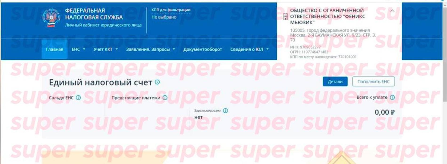 Выгрузка из налогового кабинета компании. Фото предоставлено Super пресс-службой лейбла Fenix Music