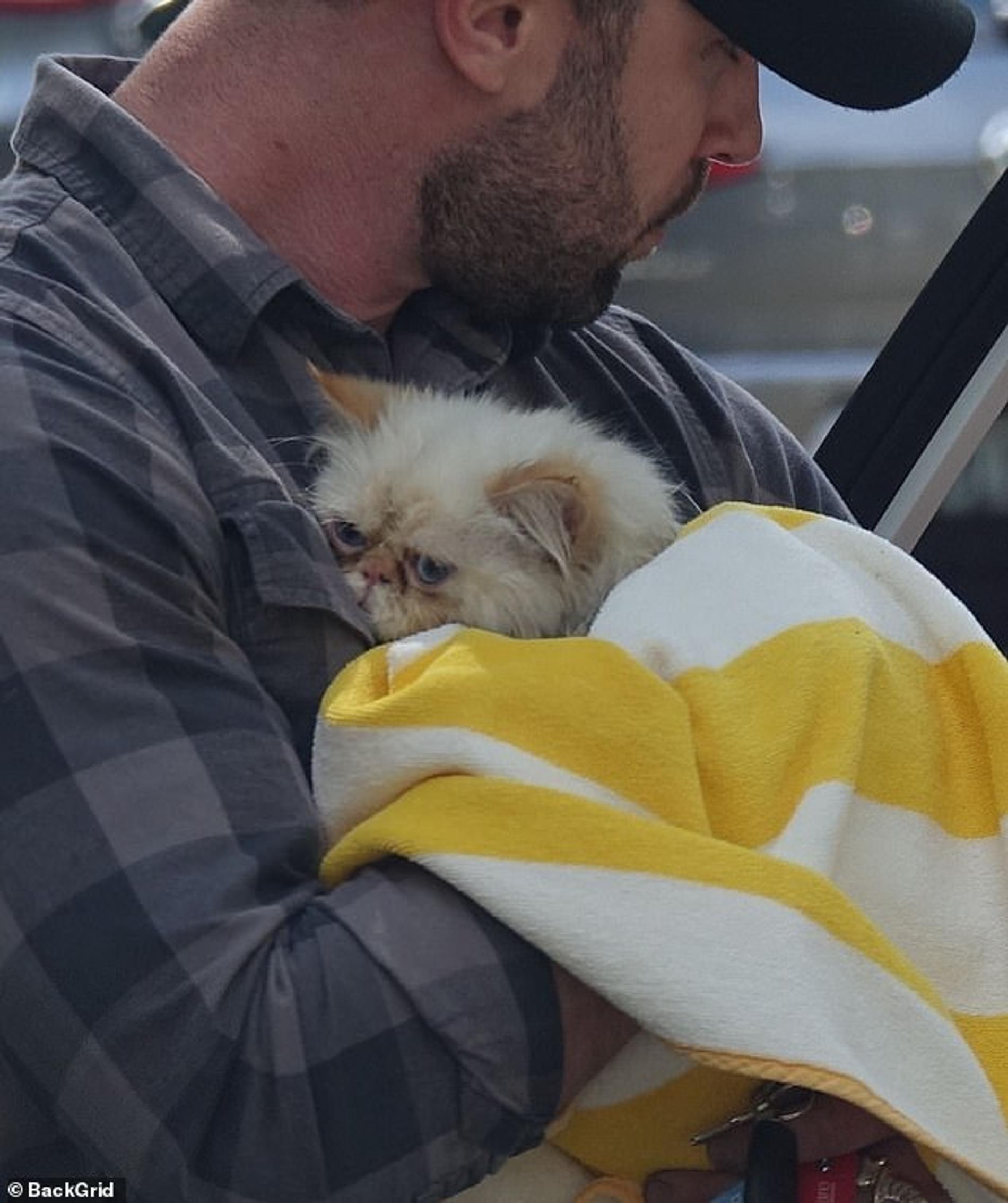 Спасатель с одной из кошек модели. Фото: Backgrid