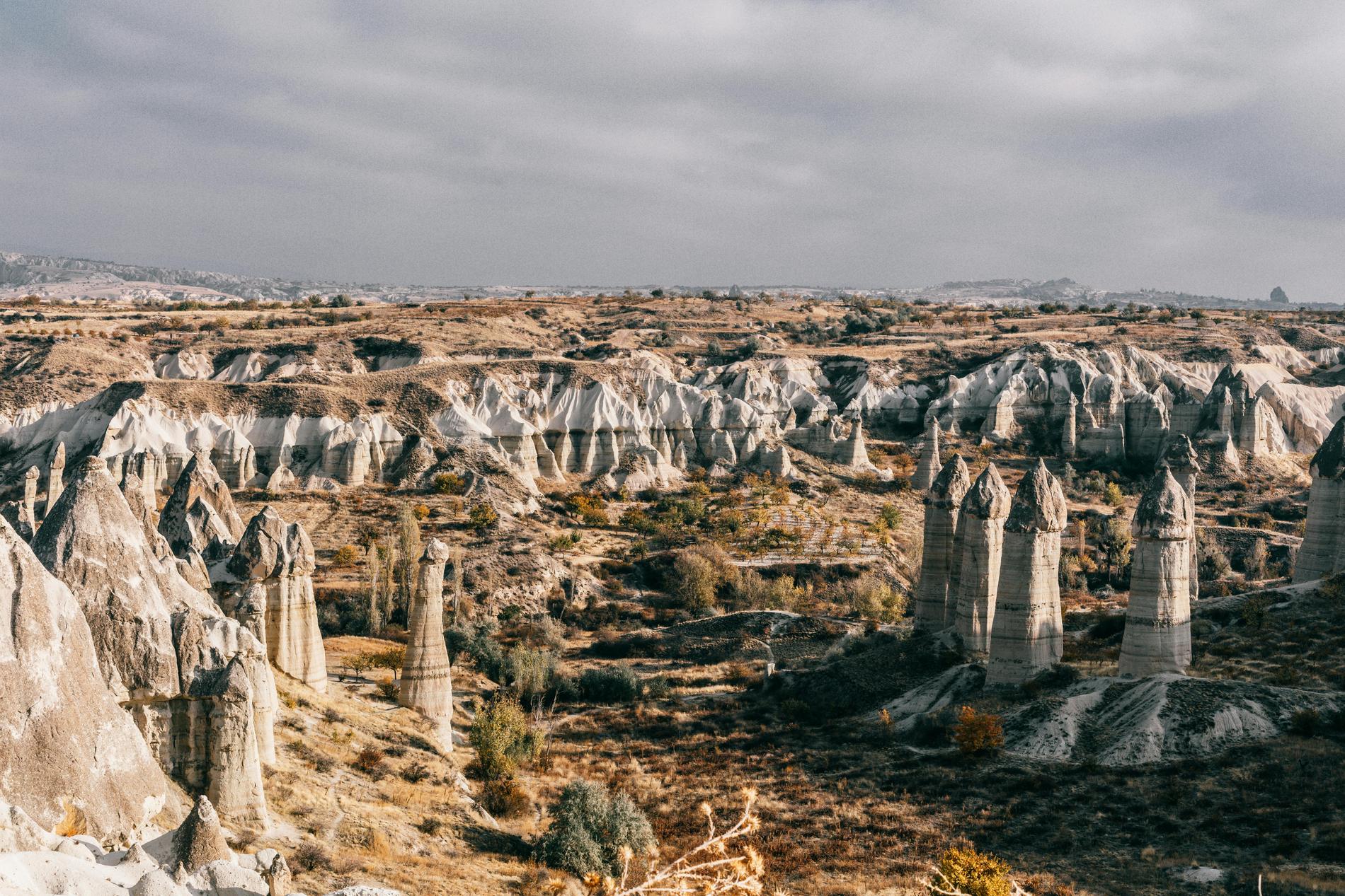 Фото: Meruyert Gonullu / pexels.com