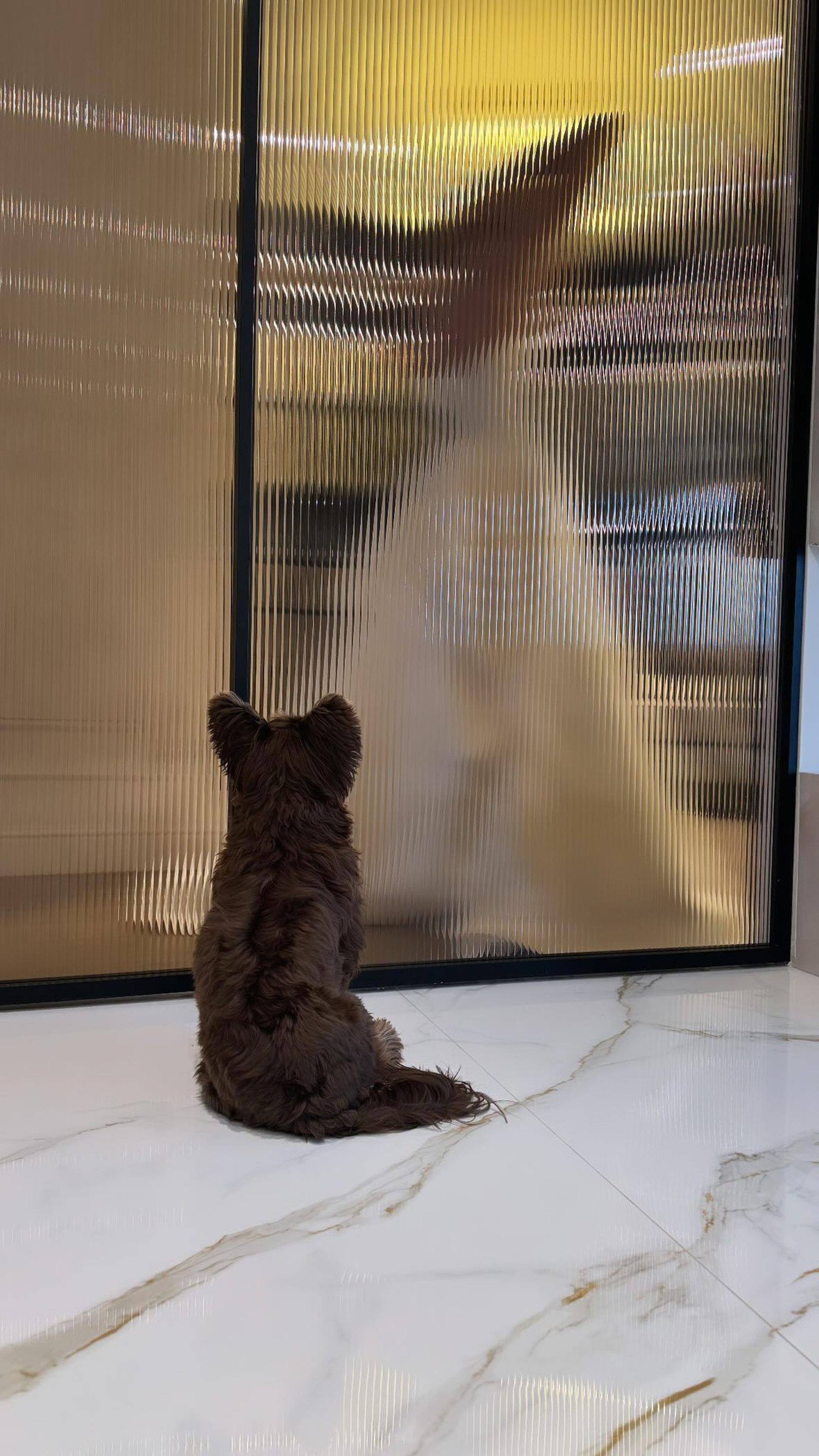 Фото, опубликованные в сторис Курбана Омарова. Фото: Инстаграм* @zima_moscow