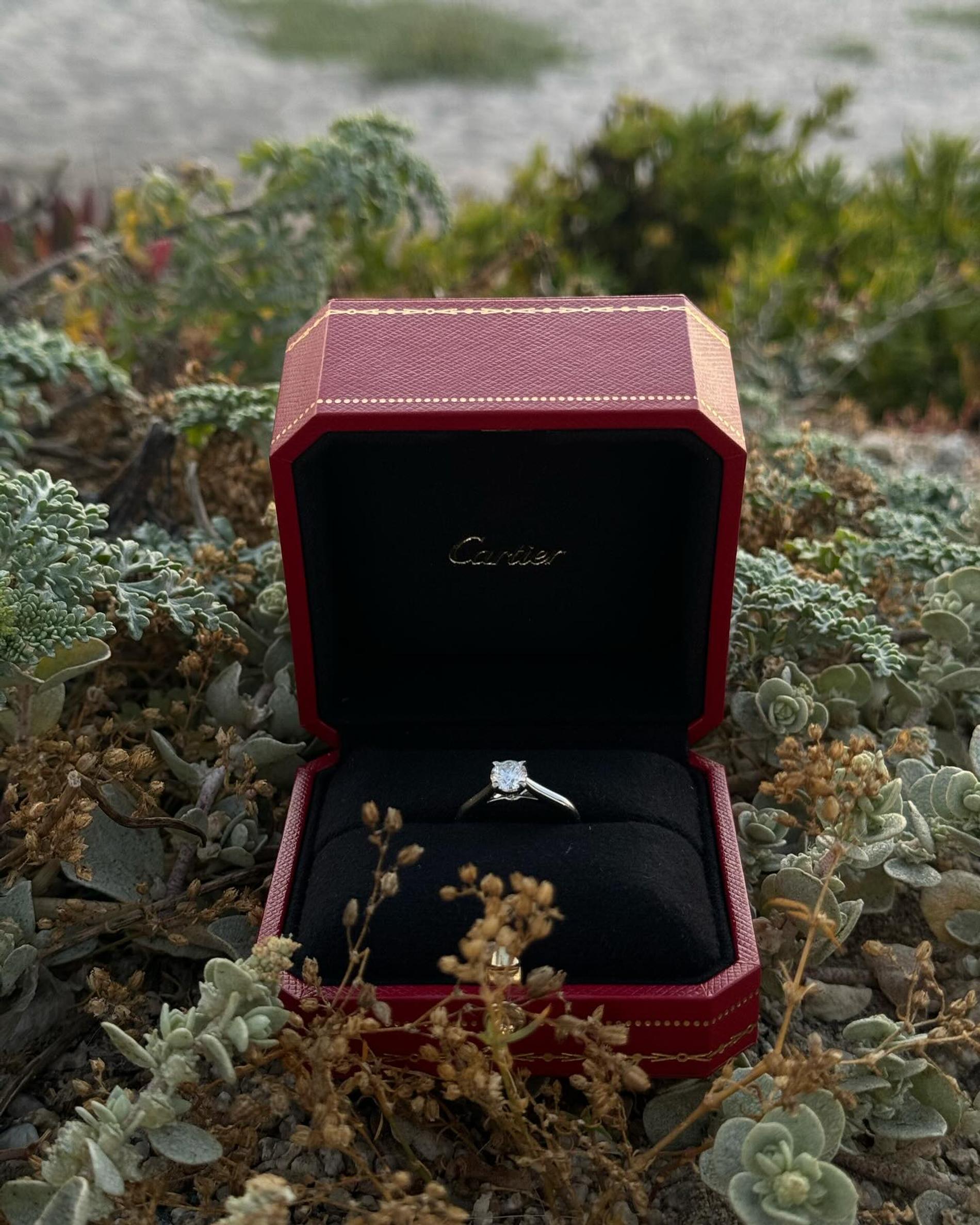 Надин Серовски показала кольцо. Фото: Инстаграм* @nadin_serovski