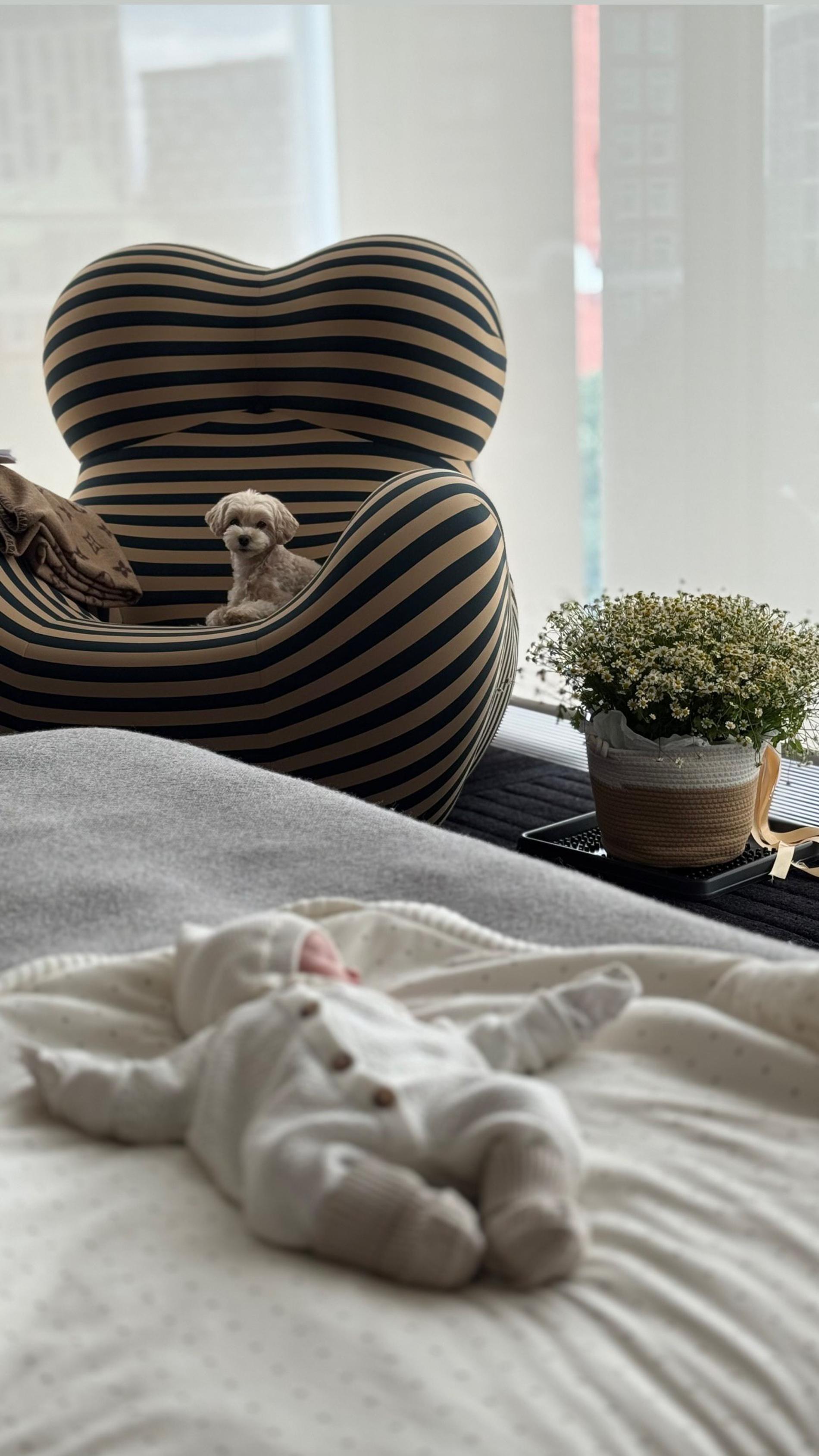 Фото: Инстаграм (запрещён в РФ) @halfbloodval