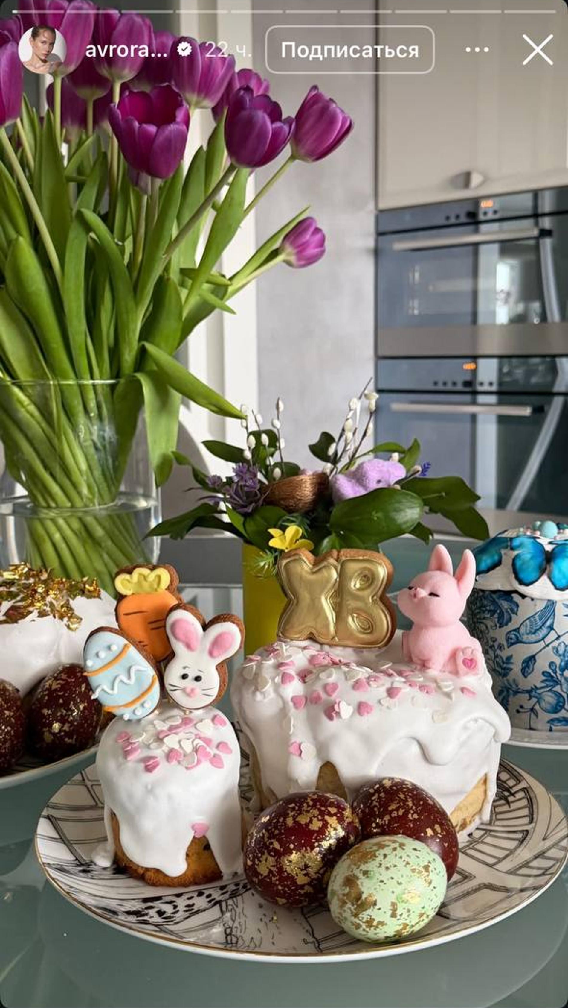 Фото: Инстаграм (запрещён в РФ) @avrorakiba