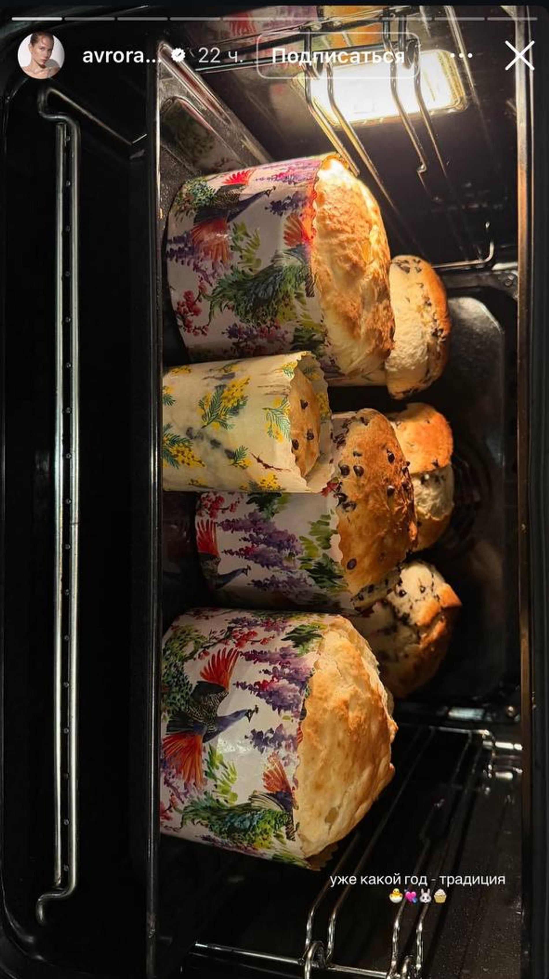 Фото: Инстаграм (запрещён в РФ) @avrorakiba